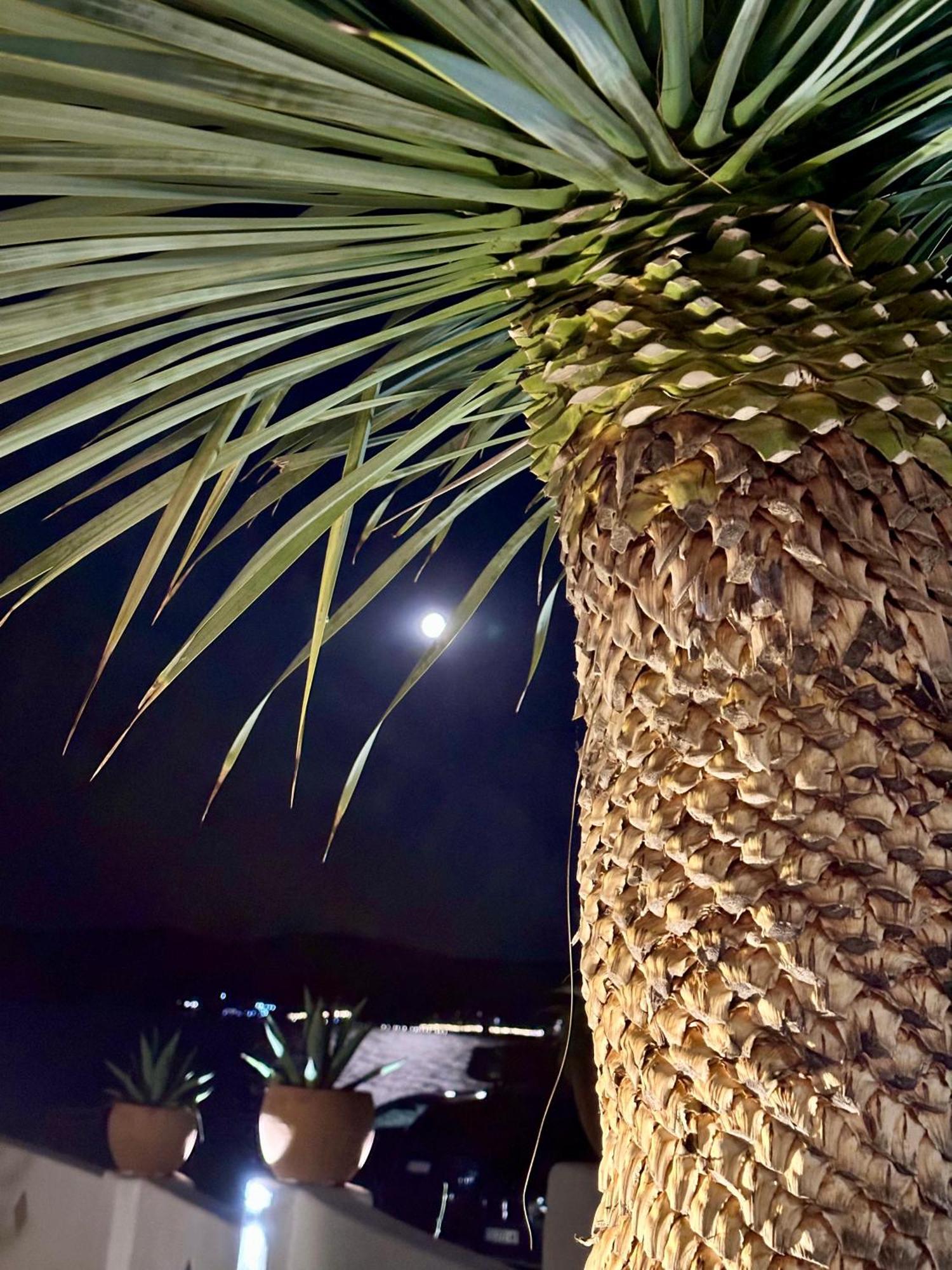 Casa De Oro Alma Aparthotel Sozopol Luaran gambar