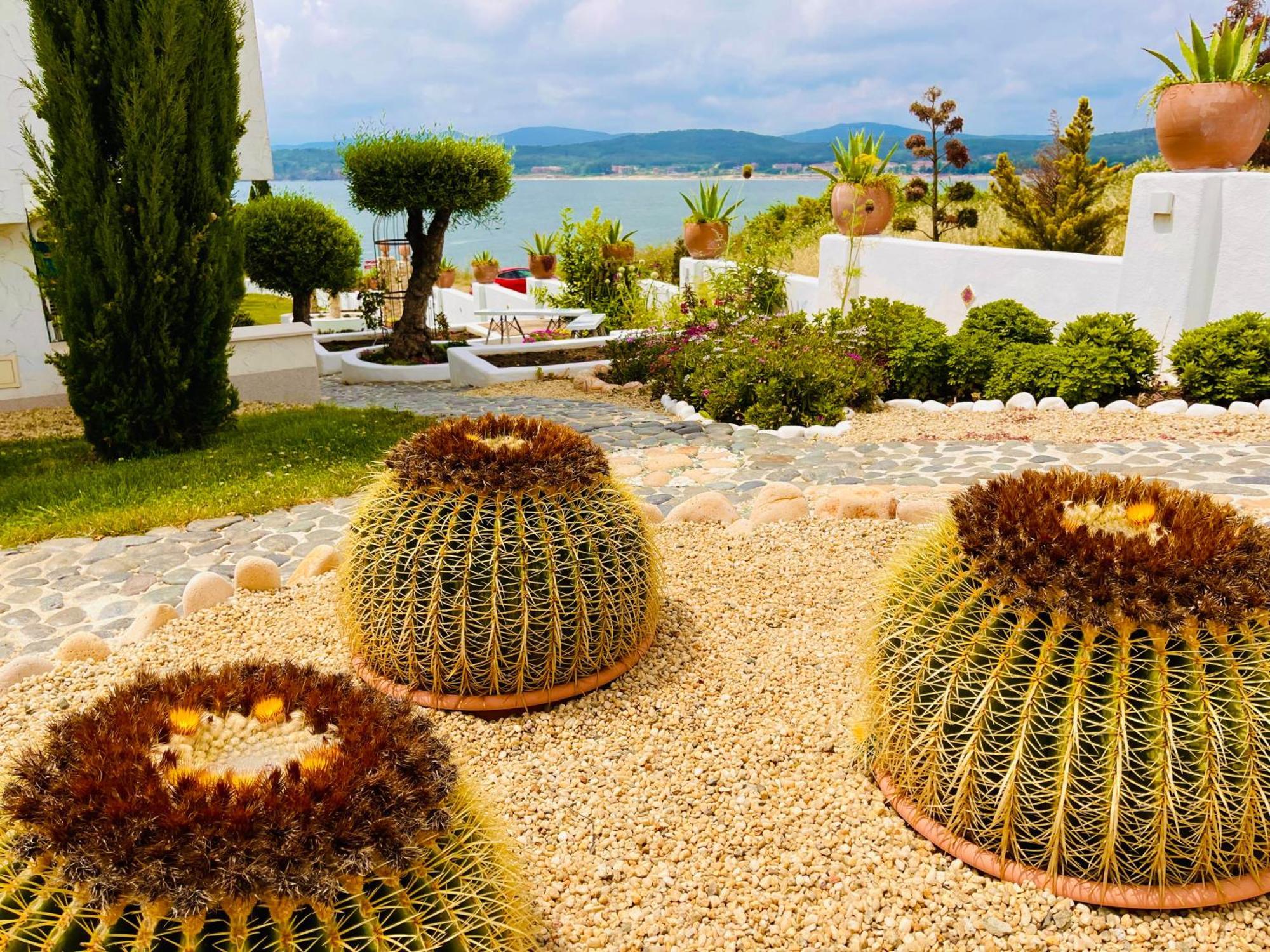 Casa De Oro Alma Aparthotel Sozopol Luaran gambar