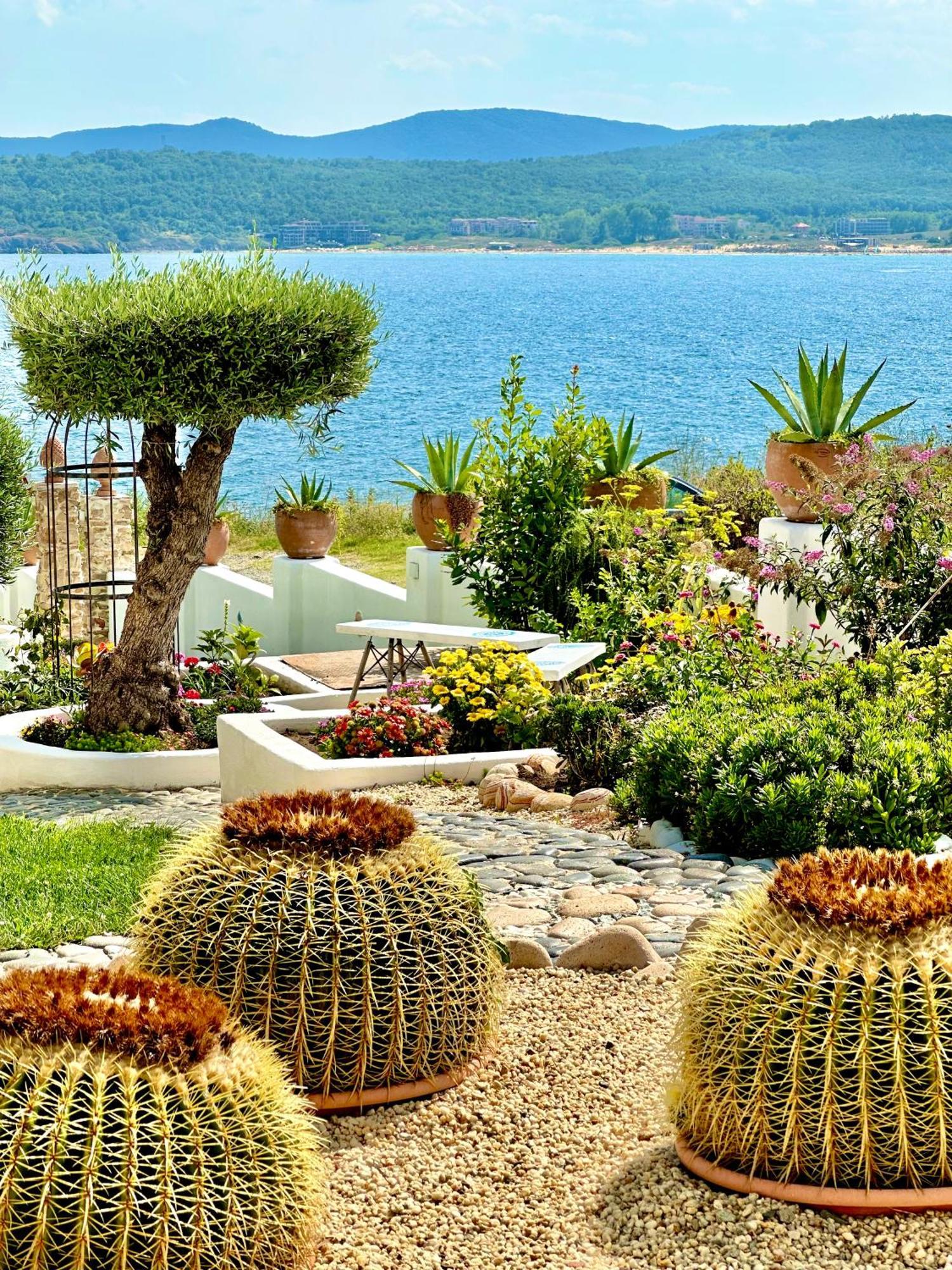 Casa De Oro Alma Aparthotel Sozopol Luaran gambar